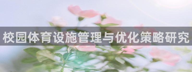 意昂体育4平台注册：校园体育设施管理与优化策略研究