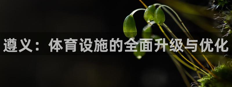 意昂4娱乐是那个系列的台子：遵义：体育设施的全面升级