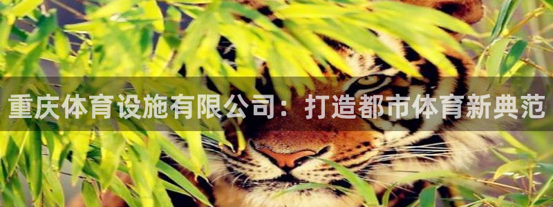 意昂体育4平台注册流程视频：重庆体育设施有限公司：打