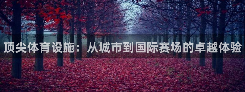 意昂体育4软件：顶尖体育设施：从城市到国际赛场的卓越