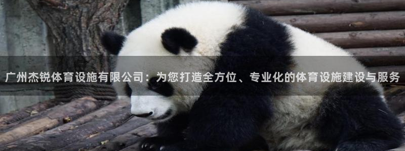 意昂体育4平台假的吗是真的吗：广州杰锐体育设施有限公