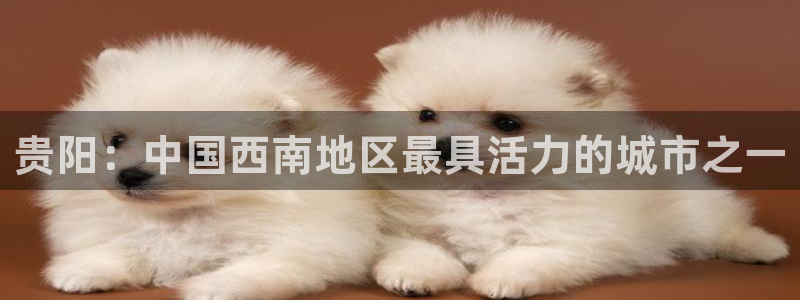 意昂集团官网：贵阳：中国西南地区最具活力的城市之一