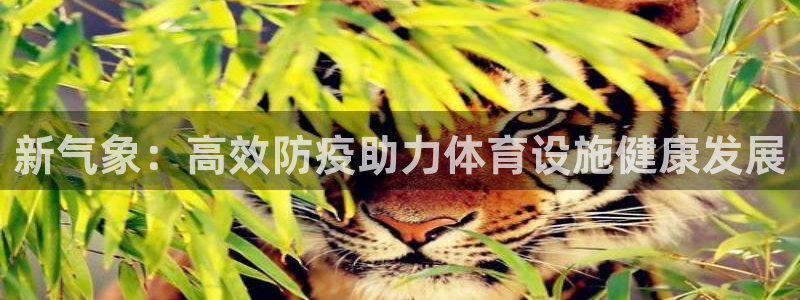 意昂4新能源：新气象：高效防疫助力体育设施健康发展