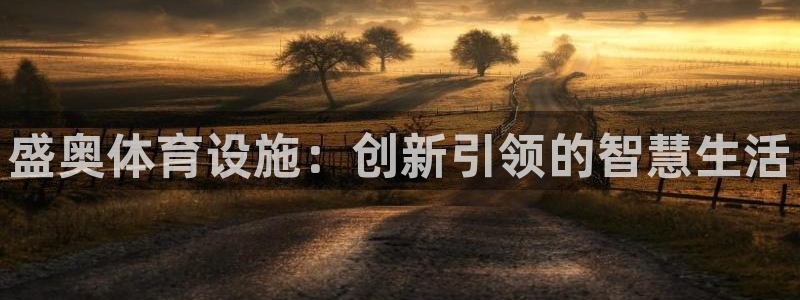 德国意昂4集团：盛奥体育设施：创新引领的智慧生活