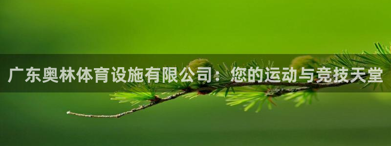 意昂4娱乐40996：广东奥林体育设施有限公司：您的运动与竞