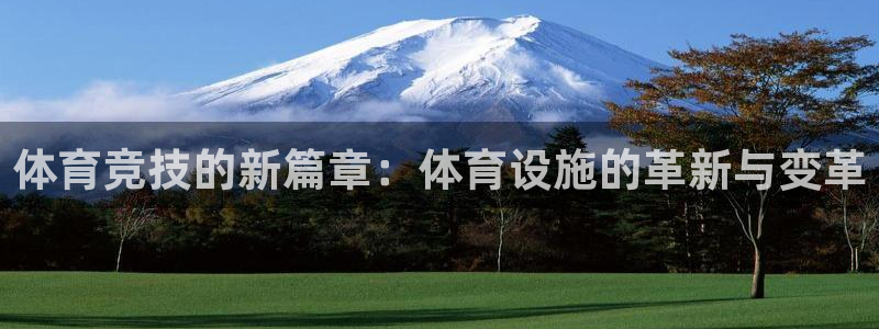 意昂体育4平台APP：体育竞技的新篇章：体育设施的革