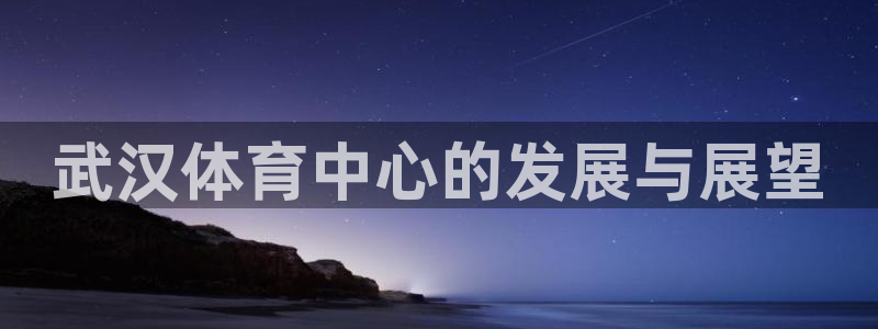 意昂体育4招商电话是多少：武汉体育中心的发展与展望