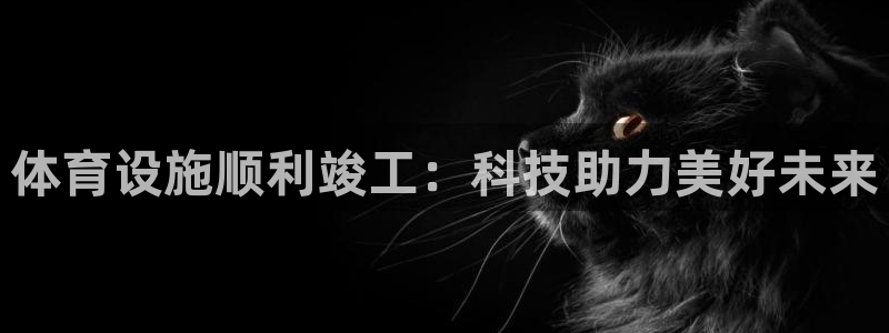 意昂4神州：体育设施顺利竣工：科技助力美好未来