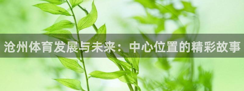 意昂体育4平台：沧州体育发展与未来：中心位置的精彩故事