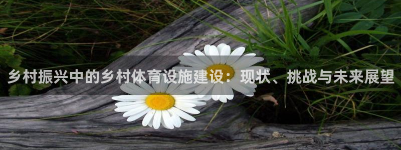 意昂4集团官网网址：乡村振兴中的乡村体育设施建设：现状、挑战