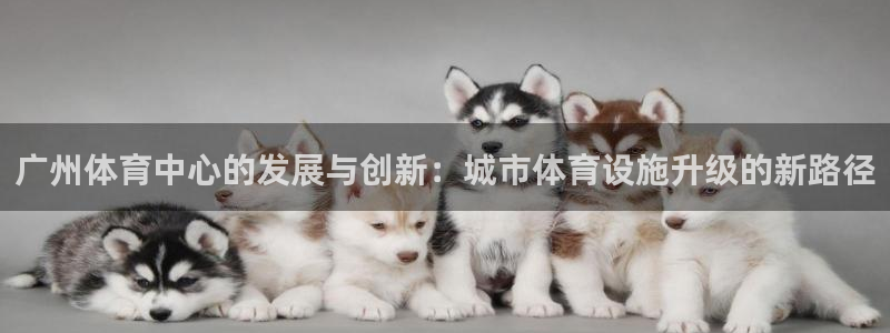 意昂体育4娱乐：广州体育中心的发展与创新：城市体育设施升级的