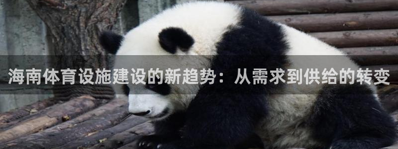 意昂4集团：海南体育设施建设的新趋势：从需求到供给的转变