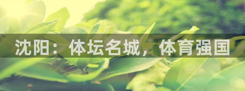 意昂4娱乐下载：沈阳：体坛名城，体育强国