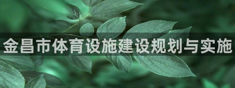 意昂体育4招商电话号码是多少啊：金昌市体育设施建设规划与实施 