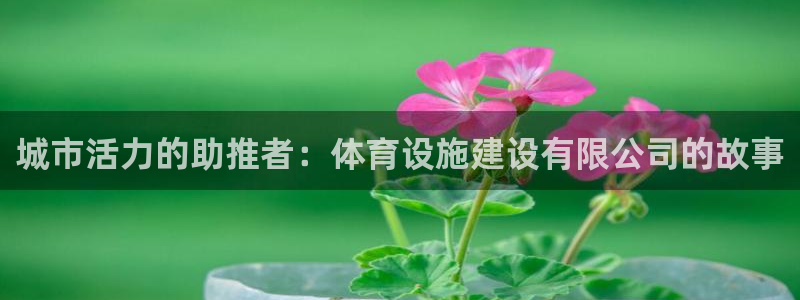 意昂4集团：城市活力的助推者：体育设施建设有限公司的故事