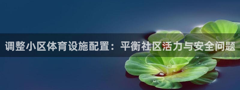 意昂体育4是干嘛的公司：调整小区体育设施配置：平衡社区活力与 