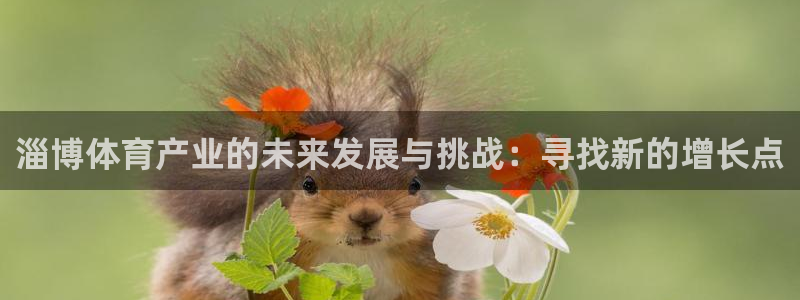 注册意昂4：淄博体育产业的未来发展与挑战：寻找新的增长点