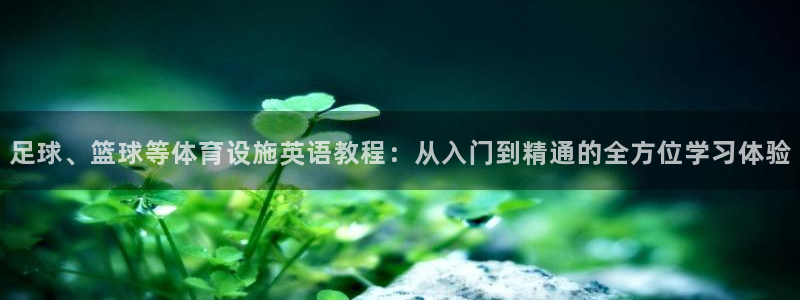 意昂4开户：足球、篮球等体育设施英语教程：从入门到精通的全方