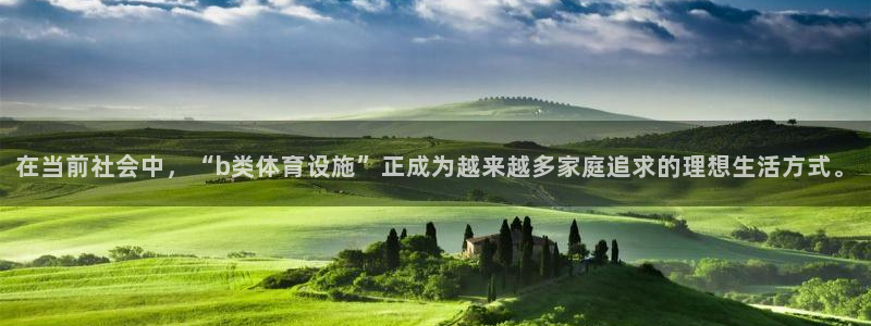 意昂体育4招商：在当前社会中，“b类体育设施”正成为越来越多