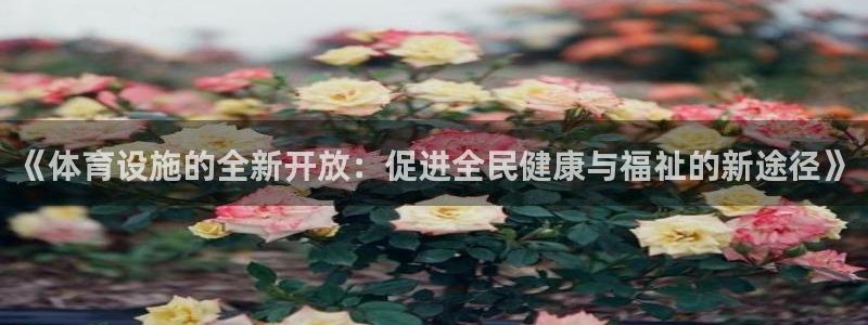 意昂4娱乐是那个系列的台子：《体育设施的全新开放：促进全民健