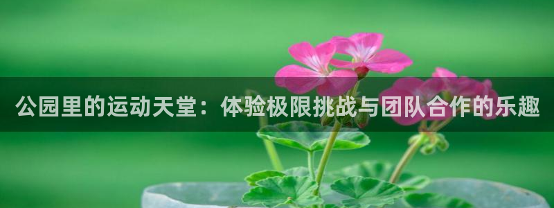 意昂体育4招商电话