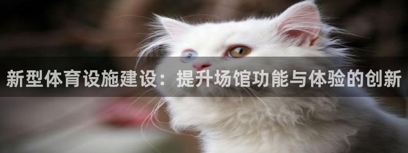 注册意昂4：新型体育设施建设：提升场馆功能与体验的创新