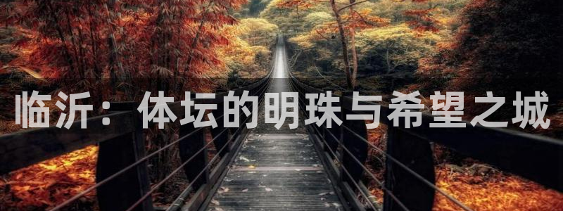 意昂4集团E.ON：临沂：体坛的明珠与希望之城 