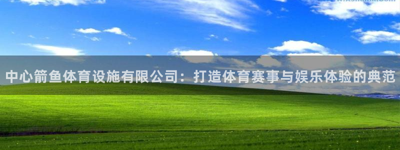意昂4娱乐下载：中心箭鱼体育设施有限公司：打造体育赛事与娱乐 