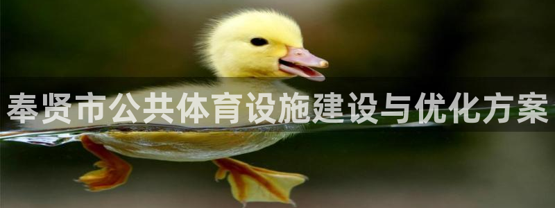 意昂体育4联系电话：奉贤市公共体育设施建设与优化方案