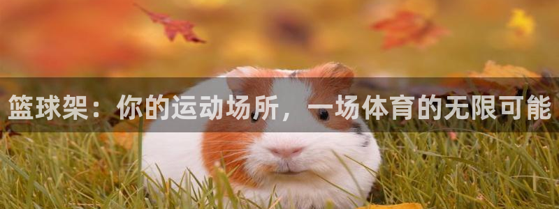 意昂体育4招商电话地址是多少：篮球架：你的运动场所，一场体育 