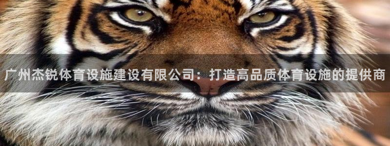意昂体育4平台是正规平台吗：广州杰锐体育设施建设有限公司：打