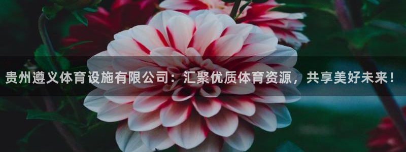 意昂体育4娱乐：贵州遵义体育设施有限公司：汇聚优质体育资源，