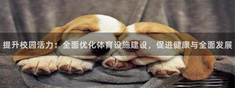 意昂4开户：提升校园活力：全面优化体育设施建设，促进