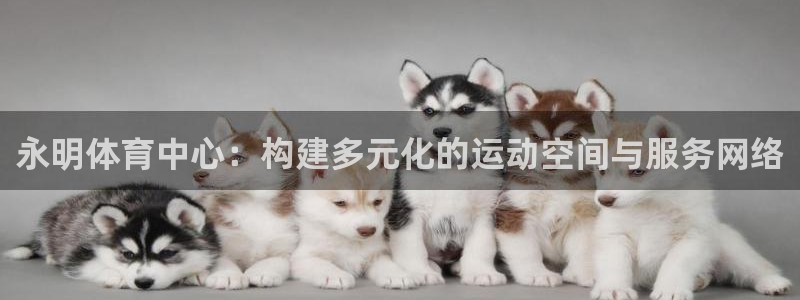 意昂体育4官方客服电话