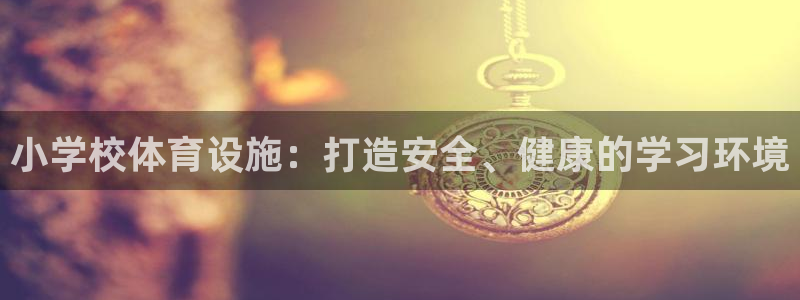 意昂4娱乐首页官网下载：小学校体育设施：打造安全、健