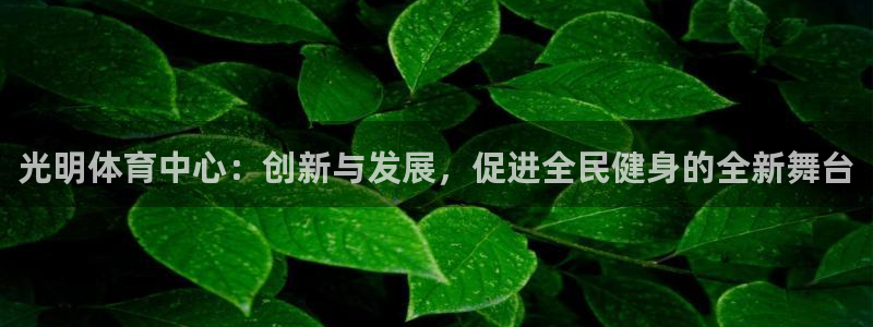 意昂体育4招商电话是多少