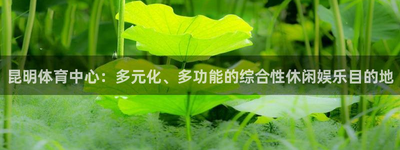 意昂体育4平台注册要钱吗是真的吗：昆明体育中心：多元