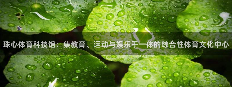 意昂集团官网：珠心体育科技馆：集教育、运动与娱乐于一