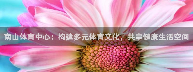 意昂4集团：南山体育中心：构建多元体育文化，共享健康