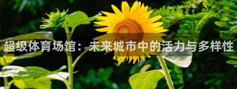 意昂体育4招商电话号码查询：超级体育场馆：未来城市中